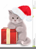 Christmas Cat Clipart Image