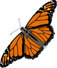 Totetude Monarch Butterfly Clip Art