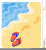 Free Clipart Footprints In The Sand Image