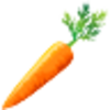 Carrot Icon Image
