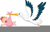 Free Stork With Baby Girl Clipart Image