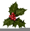 Christmas Clipart Holly Leaf Image