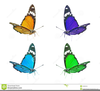 Butterfly Clipart Images Free Image