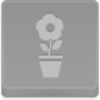 Free Disabled Button Pot Flower Image
