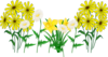 Some Flowers Clip Art
