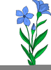 Free Flower Clipart Pictures Image