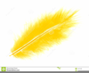 Yellow Feather Clipart Image