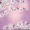 Copyright Free Clipart For Cherry Blossom Image