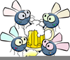 Beer Drinking Clipart Image