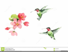 Clipart Of Hummingbirds And Flowers Image