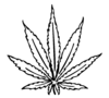 Cannabis Leaf Drawing I | Free Images at Clker.com - vector clip art