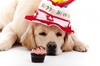 Birthday Clipart With Dogs Image
