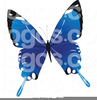 Free Clipart Butterfly Black White Image