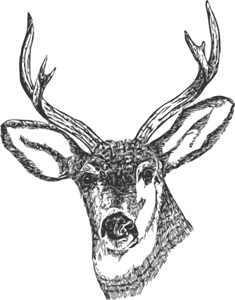free mule deer clip art - photo #35