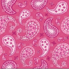 Pink Paisley Pattern Image