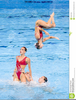 Synchronized Swimming Clipart Free Image