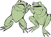 Two Frogs Clip Art