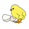 Clipart Of Baby Chicken Image