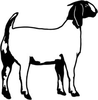 Goat Wether Clipart Graphics Image