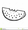 Watermelon Clipart Black And White Image