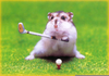 Golfing Gopher Clipart Image