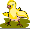 Free Clipart Of Chickens Image