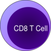 Cd8 T Cell Clip Art