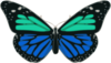 Butterfly Clip Art