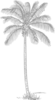 Gray Palm Tree 2 Clip Art