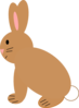 Brown Rabbit Clip Art