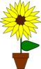 Sunflower In A Pot Clip Art