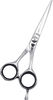 Hair Cutting Scissors Image