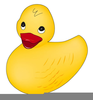 Free Duck Cliparts Image