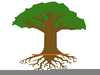 Tree With Roots Clipart Image