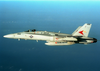 An F/a-18  Hornet  From Carrier Air Wing One Seven (cvw 17) Image