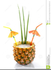 Free Clipart Tropical Drink Image