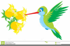 Animated Bird Clipart Image