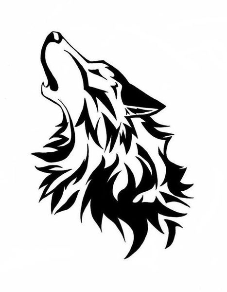 wolf head sketch art