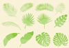 Tropical Leaf Vector Image