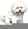 Free Clipart Cats And Dogs Image