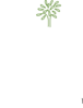 Simple Leafy Tree Green Cropped Clip Art