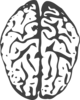 Dark Grey Brain Clip Art