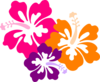 Hibiscus Color Trio-n Clip Art