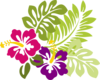 Hibiscuses Clip Art