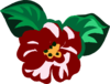 Scarlet Begonia Clip Art