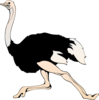 Running Ostrich Clip Art