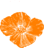 Orange Poppy Clip Art