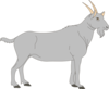 Gray Goat Clip Art