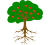 Fruit Tree And Roots Without Line Clip Art