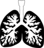 Lung Clip Art